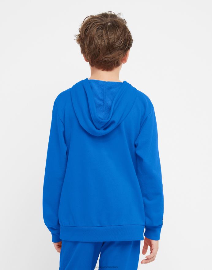 Champion store børns fransk frotté grafisk drenge hættetrøje klassisk script & c V6J661825 bozetto blå