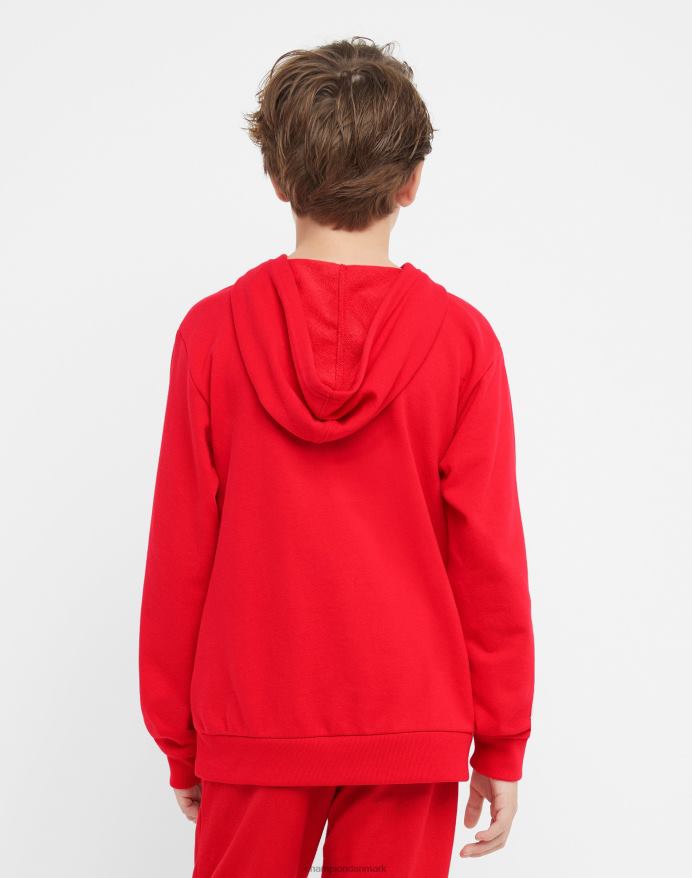 Champion store børns fransk frotté grafisk drenge hættetrøje klassisk script & c V6J661827 rød