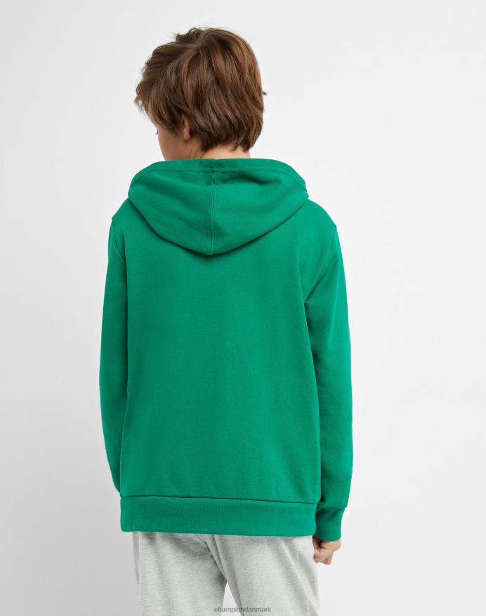 Champion store børns fransk frotté sweatshirt klassisk script V6J661840 kelly grøn