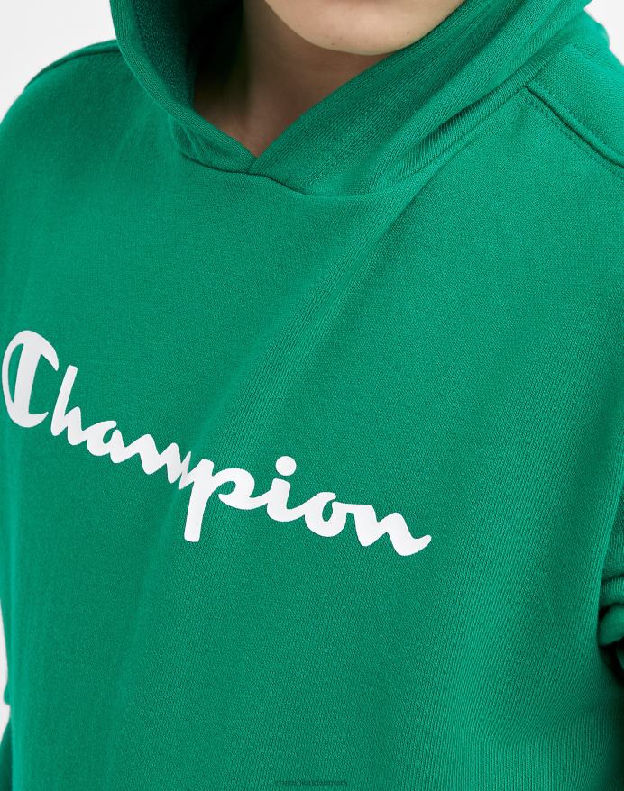 Champion store børns fransk frotté sweatshirt klassisk script V6J661840 kelly grøn