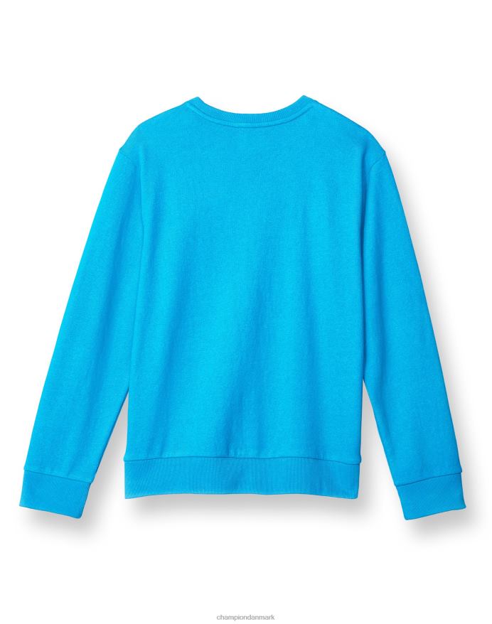 Champion store børns franske frotté-drenges klassiske manuskript V6J661829 ny pfalz blå