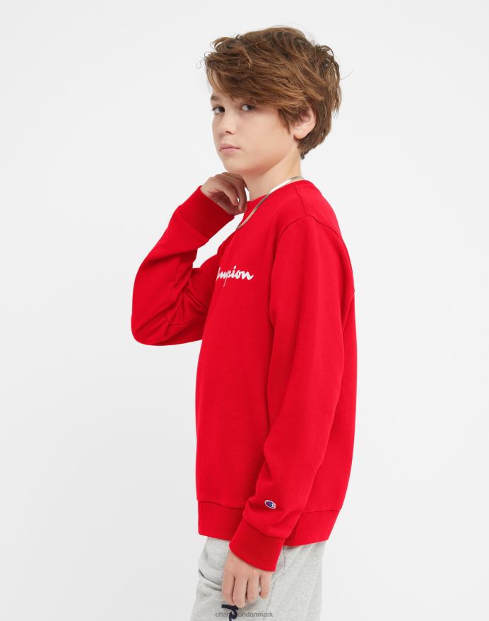 Champion store børns franske frotté-drenges klassiske manuskript V6J661832 rød
