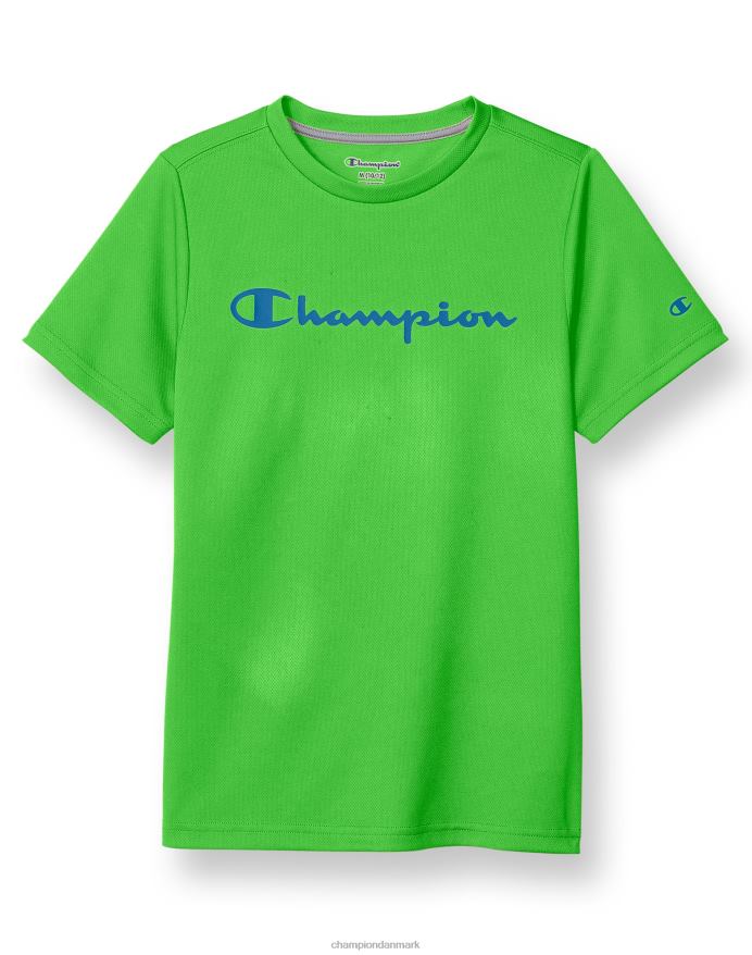 Champion store børns kortærmede drenge t-shirt klassisk script V6J661857 frodig grøn