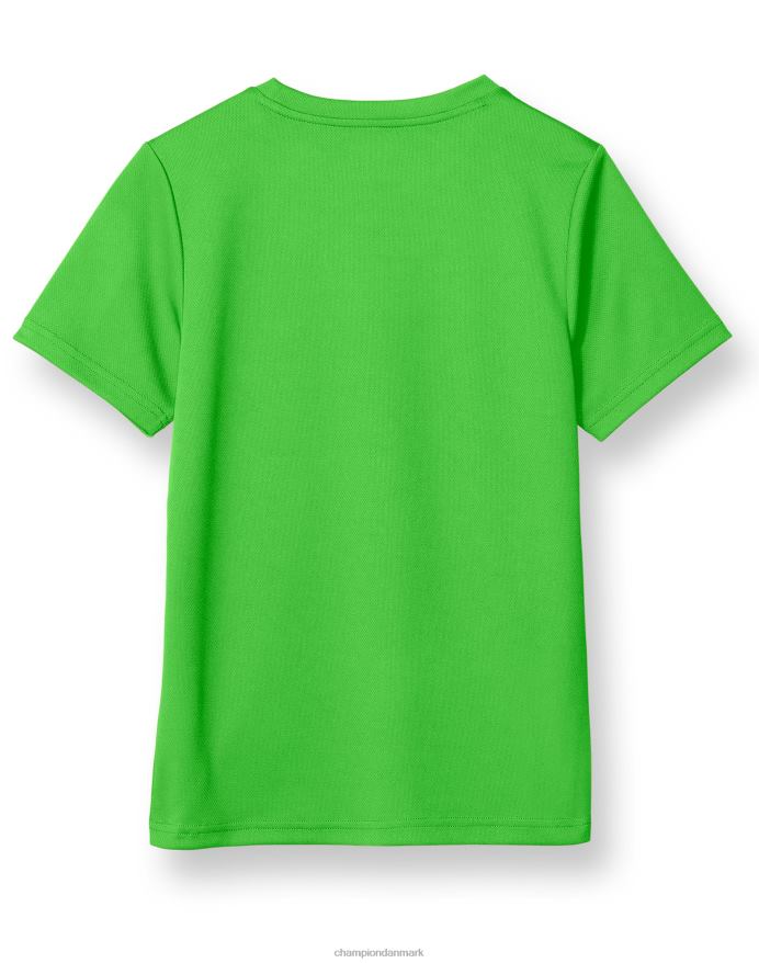 Champion store børns kortærmede drenge t-shirt klassisk script V6J661857 frodig grøn