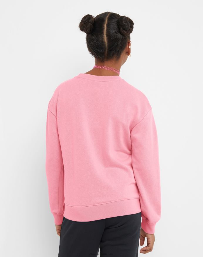 Champion store piger fransk frotté crew klassisk regnbue script V6J661773 gnist pink