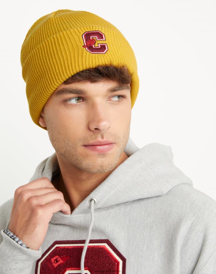 Champion chunky beanie med manchet kollegialt c med vinger V6J66901 kongeligt guld