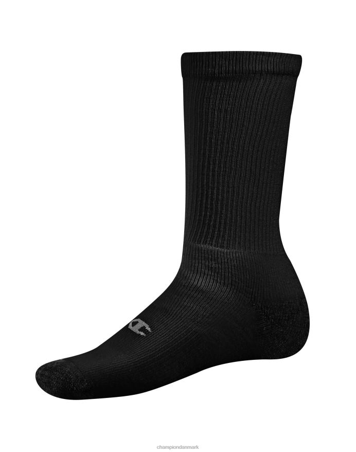 Champion double dry performance crew sokker 6 par V6J66742 sort