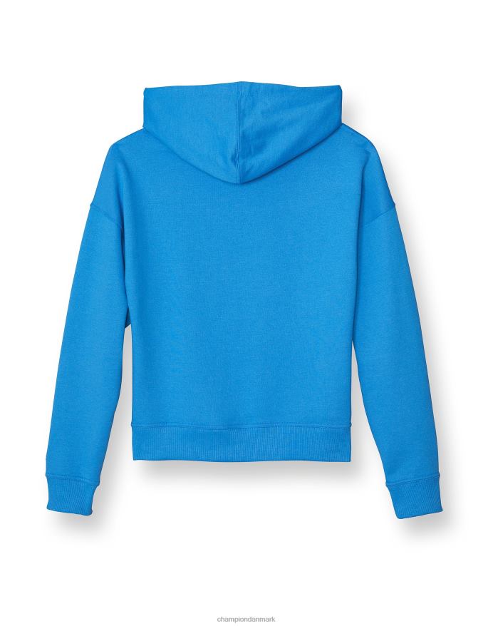 Champion powerblend fleece afslappet hættetrøje lille logo V6J661985 blå jay