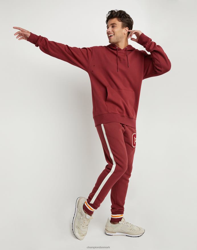 Champion flex hættetrøje broderet script logo V6J66154 kardinal