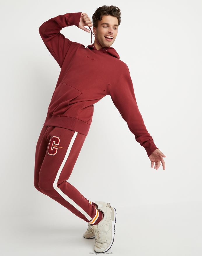Champion flex hættetrøje broderet script logo V6J66154 kardinal