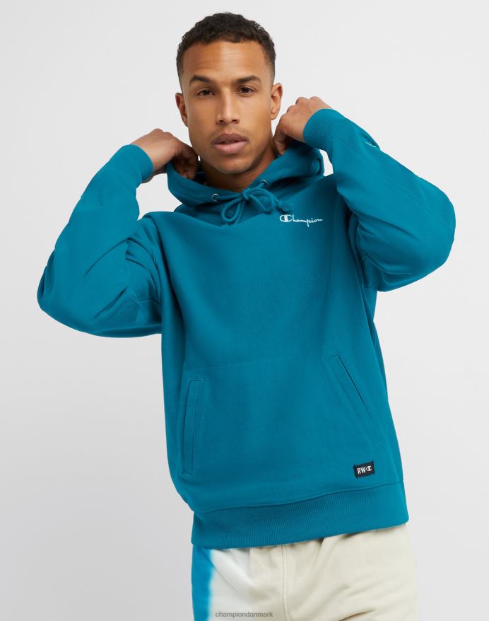 Champion omvendt vævet fransk frotté hættetrøje script logo V6J6638 rockin blågrøn