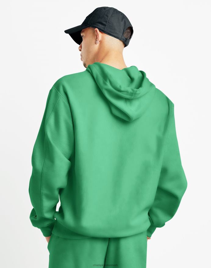 Champion omvendt vævet fransk frotté hættetrøje script logo V6J6640 glad forårsgrøn