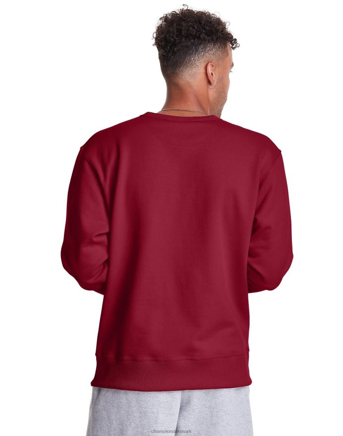 Champion powerblend fleece crew c logo V6J6650 tranebærtærte
