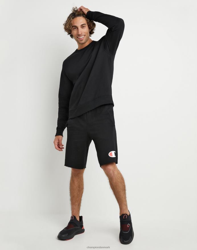 Champion powerblend fleece crew c logo V6J6652 sort