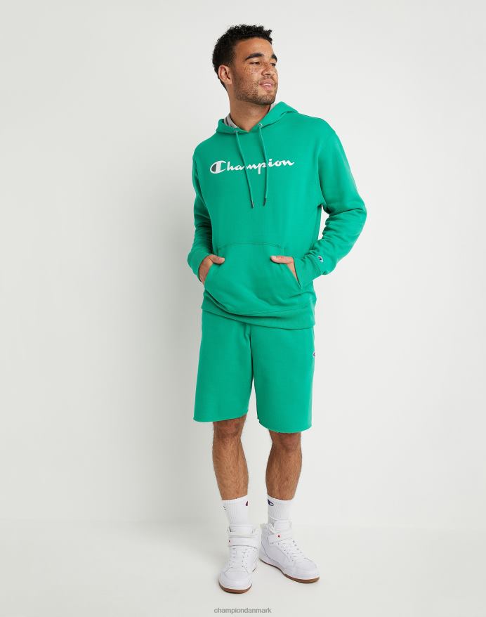 Champion powerblend fleece hættetrøje script logo V6J6662 grøn vin