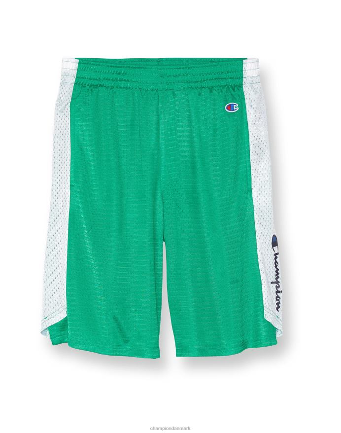Champion mesh basketballshorts 10 V6J66490 grøn vin/hvid