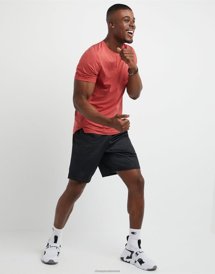 Champion mesh shorts 9 V6J66436 sort