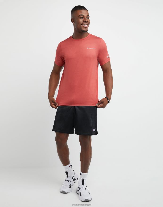 Champion mesh shorts 9 V6J66436 sort
