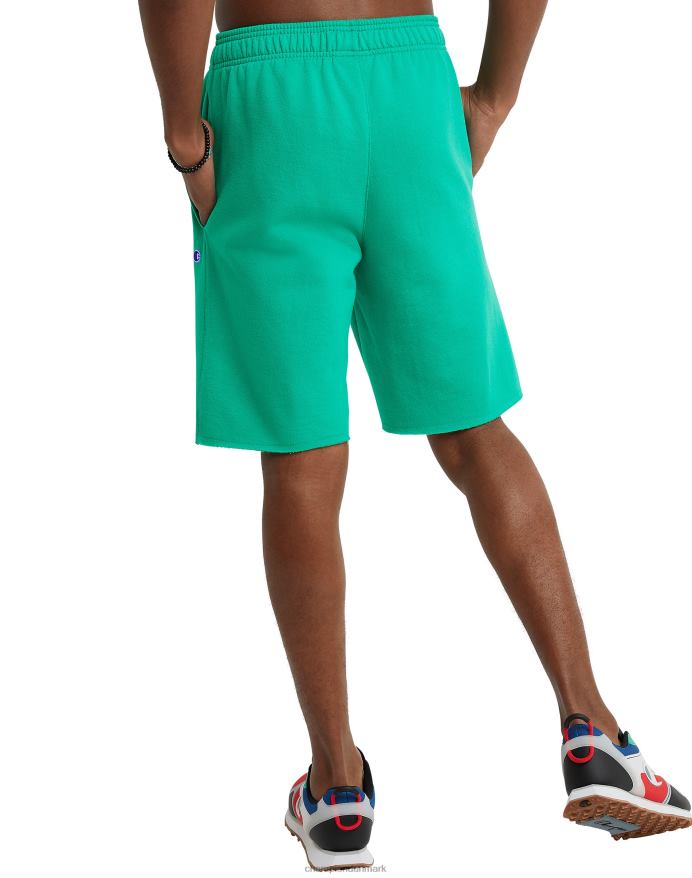 Champion powerblend shorts 10 V6J66512 grøn vin