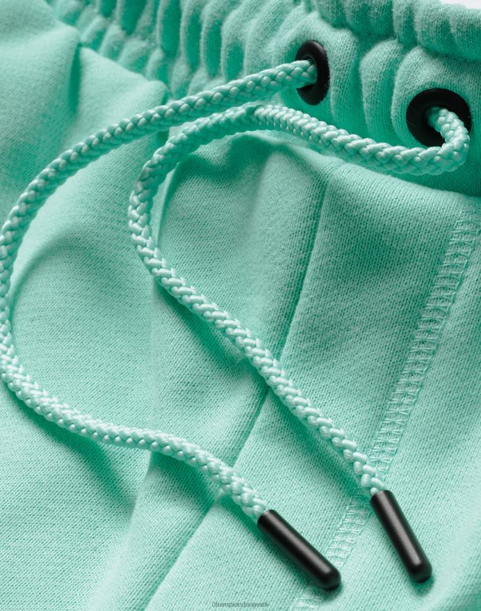 Champion premium vævede shorts c-logo 8 V6J66378 ren mynte