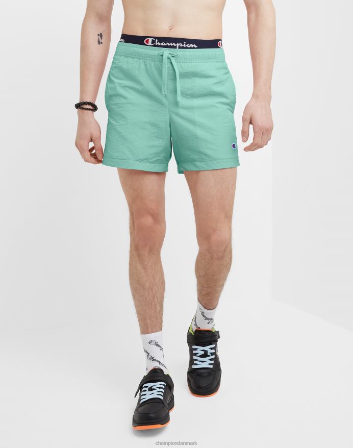 Champion volley shorts 5 V6J66369 ren mynte