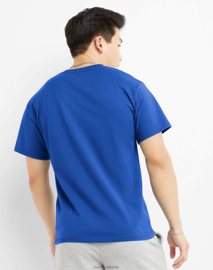 Champion klassisk grafisk t-shirt laurbær V6J66562 surfe på nettet