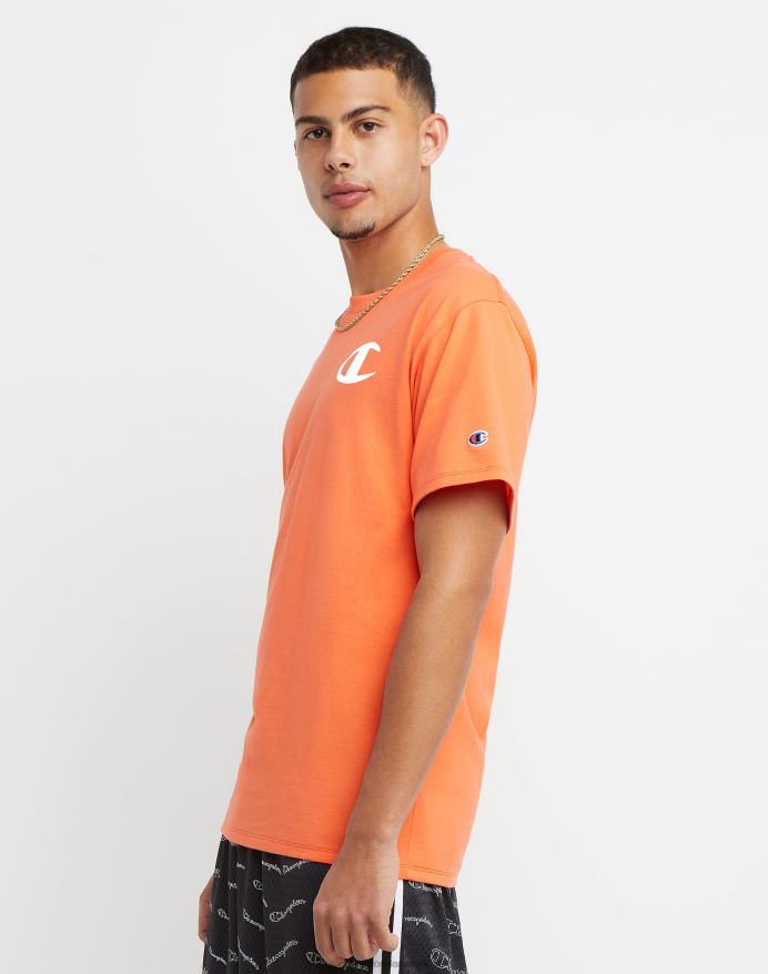 Champion klassisk grafisk t-shirt ufo palmetræ V6J66597 laser orange lyng