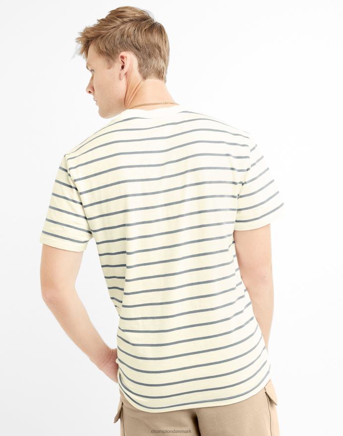Champion klassisk stribet t-shirt V6J66646 kridhvid/kølig skifergrå